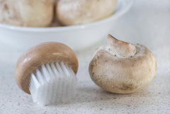 Mushroom Brush