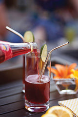 Outset Stainless Steel  Bent Straws w/Bag