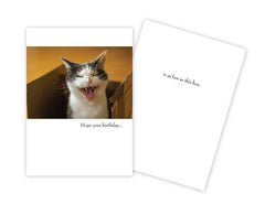 Birthday Card - Hope your birthday....