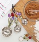 Ganz Measuring Spoons - Tulips Painted