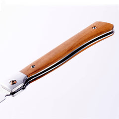 Folding Steak Knife - 4"