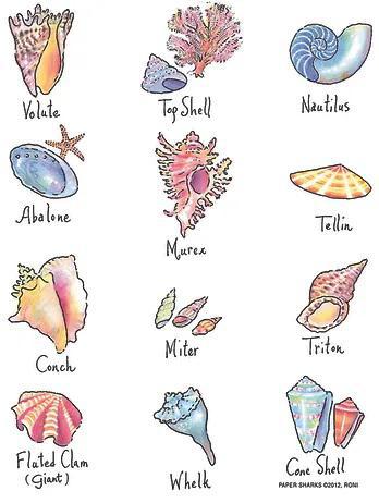 Flour Sack Towel - Shells