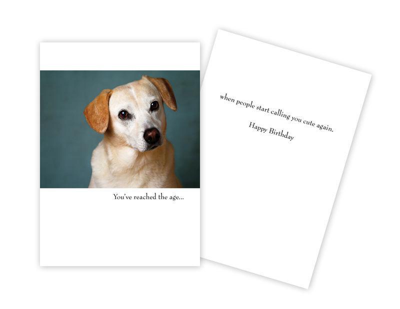 Birthday Card - You've reached the age....