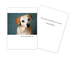 Birthday Card - You've reached the age....