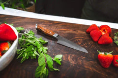 STEELPORT 4" Paring Knife (Carbon Steel)
