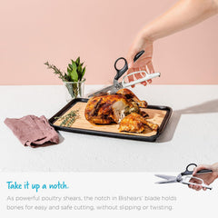 Dreamfarm Bishears (2-in-1 Kitchen Scissors)