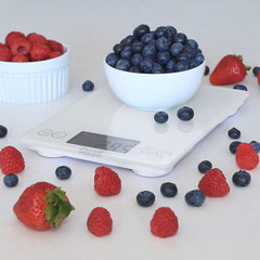 Escali Arti Glass Digital Scale Frost White