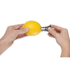 Citrus Spout Stainless Steel