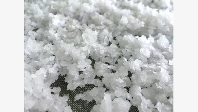 Sea Love Sea Salt Pure Wrightsville 1 oz (bulk)