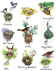 Flour Sack Towel - Birds Nest