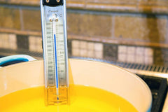 Escali Deep Fry/Candy Thermometer (Paddle Style)
