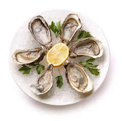 Oyster Plate - 9" Porcelain