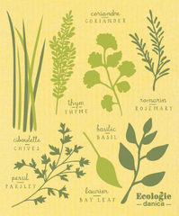 Swedish Dishcloth Les Fines Herbs/Sponge Cloth
