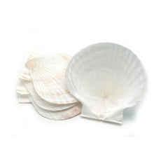 Baking Shells Set of 4