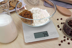 Escali Arti Glass Digital Scale Frost White