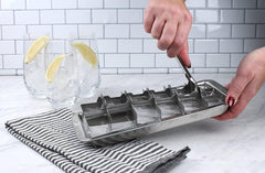 Endurance Ice Cube Tray - Traditional