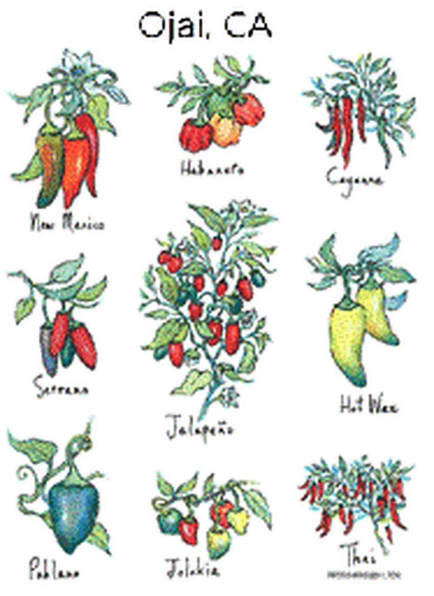 Flour Sack Towel - Chiles On The Vine