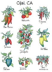Flour Sack Towel - Chiles On The Vine