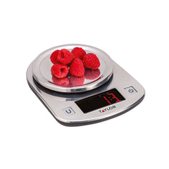 Taylor Stainless LED Digital Kitchen Scale