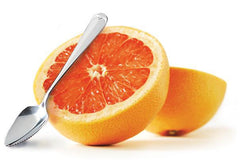 Endurance Grapefruit Spoon