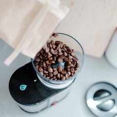 Bremen Burr Coffee Grinder