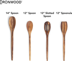 Ironwood Wilmington Spoonula/Turner - 12" (Acacia)