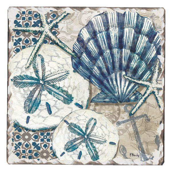 Absorbent Stone Coaster - Tide Pool Shells
