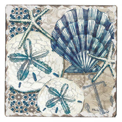 Absorbent Stone Coaster - Tide Pool Shells