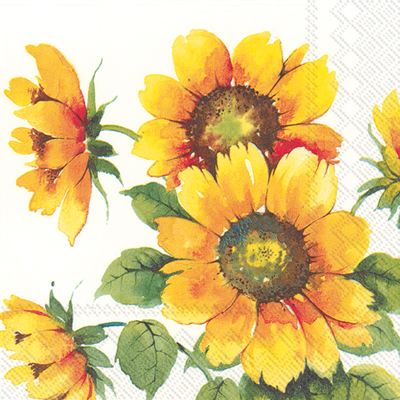 Cocktail Napkins Colorful Sunflowers