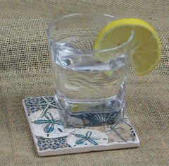 Absorbent Stone Coaster - Tide Pool Shells