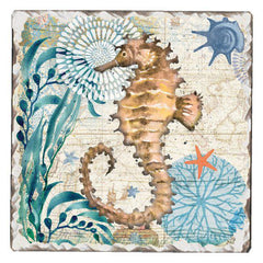 Absorbent Stone Coaster - Monterey Bay